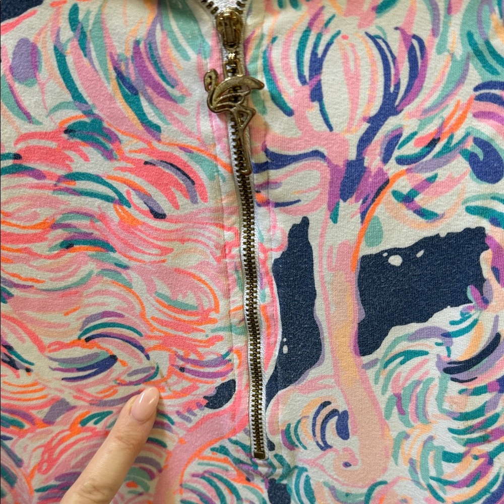 Colorful Quarter-Zip Pullover - Picture 7 of 9